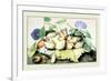 Dish of Plums with Jasmine and Walnuts-Giovanna Garzoni-Framed Premium Giclee Print