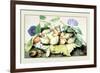 Dish of Plums with Jasmine and Walnuts-Giovanna Garzoni-Framed Premium Giclee Print