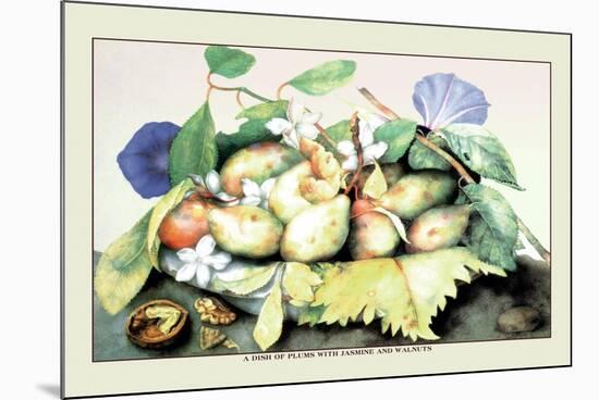 Dish of Plums with Jasmine and Walnuts-Giovanna Garzoni-Mounted Premium Giclee Print