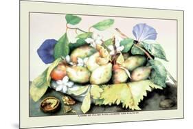 Dish of Plums with Jasmine and Walnuts-Giovanna Garzoni-Mounted Premium Giclee Print