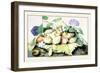 Dish of Plums with Jasmine and Walnuts-Giovanna Garzoni-Framed Premium Giclee Print