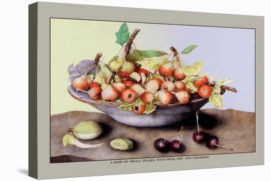 Dish of Small Pears with Medlars and Cherries-Giovanna Garzoni-Stretched Canvas