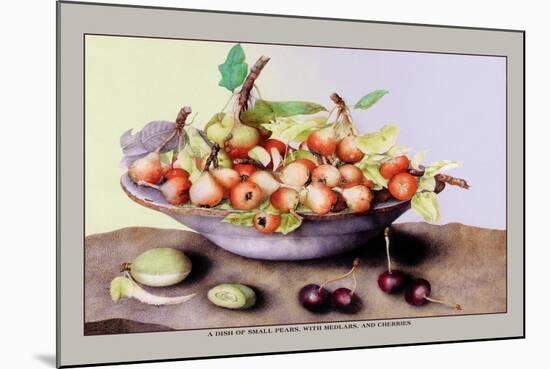 Dish of Small Pears with Medlars and Cherries-Giovanna Garzoni-Mounted Art Print