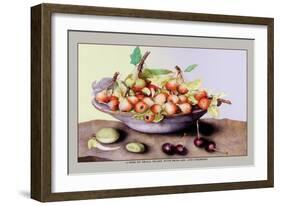 Dish of Small Pears with Medlars and Cherries-Giovanna Garzoni-Framed Art Print