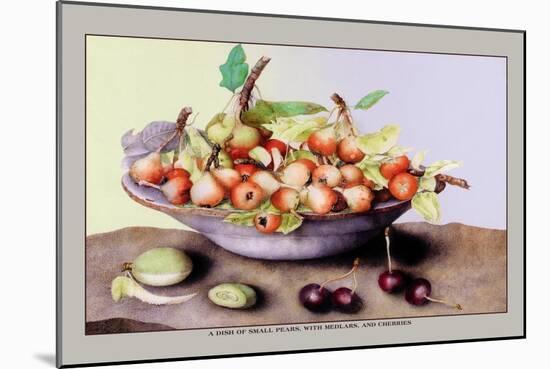 Dish of Small Pears with Medlars and Cherries-Giovanna Garzoni-Mounted Art Print