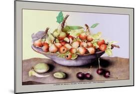 Dish of Small Pears with Medlars and Cherries-Giovanna Garzoni-Mounted Art Print