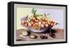 Dish of Small Pears with Medlars and Cherries-Giovanna Garzoni-Framed Stretched Canvas