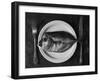 Dish of the day...-Aleksandrova Karina-Framed Photographic Print