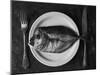 Dish of the day...-Aleksandrova Karina-Mounted Photographic Print