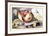 Dish with a Pomegranate, A Grasshopper, A Snail, and Two Chestnuts-Giovanna Garzoni-Framed Premium Giclee Print