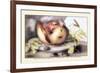 Dish with a Pomegranate, A Grasshopper, A Snail, and Two Chestnuts-Giovanna Garzoni-Framed Premium Giclee Print