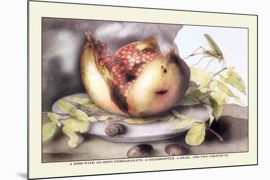 Dish with a Pomegranate, A Grasshopper, A Snail, and Two Chestnuts-Giovanna Garzoni-Mounted Premium Giclee Print