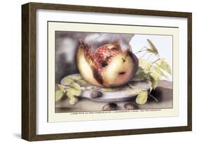 Dish with a Pomegranate, A Grasshopper, A Snail, and Two Chestnuts-Giovanna Garzoni-Framed Art Print