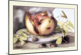 Dish with a Pomegranate, A Grasshopper, A Snail, and Two Chestnuts-Giovanna Garzoni-Mounted Art Print