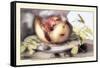 Dish with a Pomegranate, A Grasshopper, A Snail, and Two Chestnuts-Giovanna Garzoni-Framed Stretched Canvas