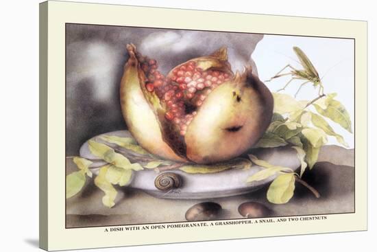 Dish with a Pomegranate, A Grasshopper, A Snail, and Two Chestnuts-Giovanna Garzoni-Stretched Canvas