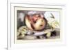 Dish with a Pomegranate, A Grasshopper, A Snail, and Two Chestnuts-Giovanna Garzoni-Framed Art Print