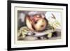 Dish with a Pomegranate, A Grasshopper, A Snail, and Two Chestnuts-Giovanna Garzoni-Framed Art Print