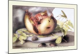 Dish with a Pomegranate, A Grasshopper, A Snail, and Two Chestnuts-Giovanna Garzoni-Mounted Art Print