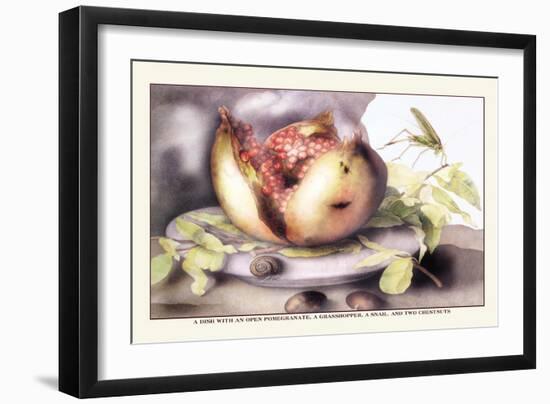 Dish with a Pomegranate, A Grasshopper, A Snail, and Two Chestnuts-Giovanna Garzoni-Framed Art Print