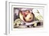 Dish with a Pomegranate, A Grasshopper, A Snail, and Two Chestnuts-Giovanna Garzoni-Framed Art Print