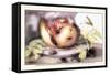 Dish with a Pomegranate, A Grasshopper, A Snail, and Two Chestnuts-Giovanna Garzoni-Framed Stretched Canvas