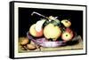 Dish with Apples and Almonds-Giovanna Garzoni-Framed Stretched Canvas