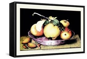 Dish with Apples and Almonds-Giovanna Garzoni-Framed Stretched Canvas