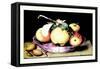 Dish with Apples and Almonds-Giovanna Garzoni-Framed Stretched Canvas