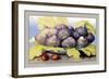 Dish with Figs, Fig Leaves and Small Pomegranates-Giovanna Garzoni-Framed Art Print