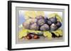 Dish with Figs, Fig Leaves and Small Pomegranates-Giovanna Garzoni-Framed Art Print