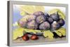 Dish with Figs, Fig Leaves and Small Pomegranates-Giovanna Garzoni-Stretched Canvas