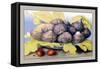 Dish with Figs, Fig Leaves and Small Pomegranates-Giovanna Garzoni-Framed Stretched Canvas
