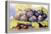 Dish with Figs, Fig Leaves and Small Pomegranates-Giovanna Garzoni-Stretched Canvas