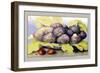 Dish with Figs, Fig Leaves and Small Pomegranates-Giovanna Garzoni-Framed Art Print