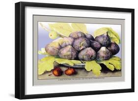 Dish with Figs, Fig Leaves and Small Pomegranates-Giovanna Garzoni-Framed Art Print