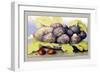 Dish with Figs, Fig Leaves and Small Pomegranates-Giovanna Garzoni-Framed Art Print