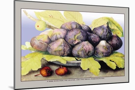 Dish with Figs, Fig Leaves and Small Pomegranates-Giovanna Garzoni-Mounted Art Print
