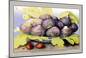Dish with Figs, Fig Leaves and Small Pomegranates-Giovanna Garzoni-Mounted Art Print