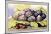 Dish with Figs, Fig Leaves and Small Pomegranates-Giovanna Garzoni-Mounted Premium Giclee Print