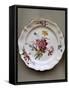 Dish with Floral Motifs, Ceramic, Strasbourg Manufacture, France-Joseph Harold Swanwick-Framed Stretched Canvas