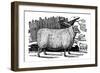 Dishley (New Leiceste) Sheep, 1811-null-Framed Giclee Print