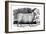 Dishley (New Leiceste) Sheep, 1811-null-Framed Giclee Print