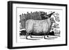 Dishley (New Leiceste) Sheep, 1811-null-Framed Giclee Print