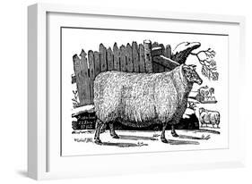 Dishley (New Leiceste) Sheep, 1811-null-Framed Giclee Print