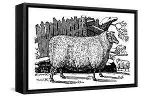 Dishley (New Leiceste) Sheep, 1811-null-Framed Stretched Canvas