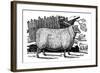 Dishley (New Leiceste) Sheep, 1811-null-Framed Giclee Print