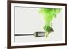 Disintegrated Broccoli-Dina Belenko-Framed Giclee Print