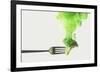 Disintegrated Broccoli-Dina Belenko-Framed Giclee Print