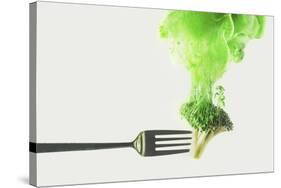 Disintegrated Broccoli-Dina Belenko-Stretched Canvas